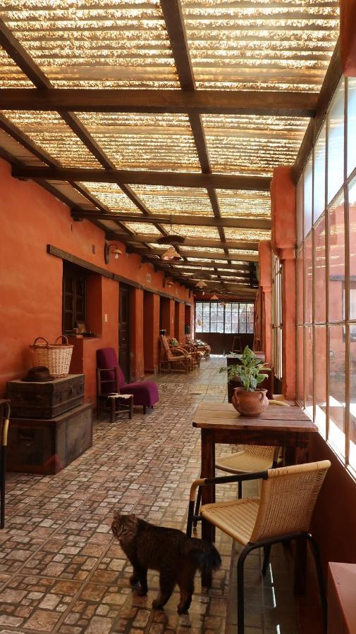 Single Bed in Dormitory Room