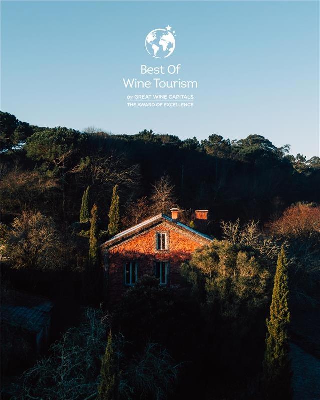 Wine Tourism - Quinta do Ameal - B&B Refoios do Lima