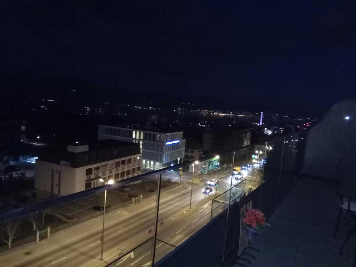 Penthouse 360 Lake View 2BR, large Terrace - Ferienwohnung Lausanne