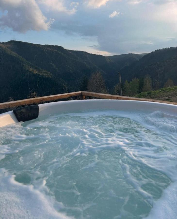 Crow's Nest Maguri - Ferienwohnung Măguri