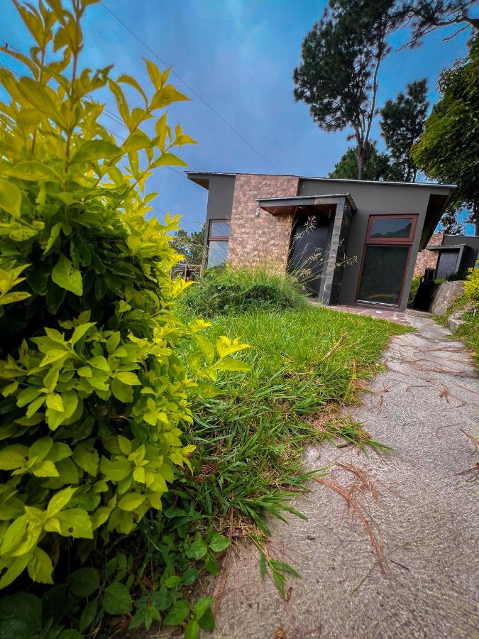 VIU Boutique Cabins - B&B San Salvador