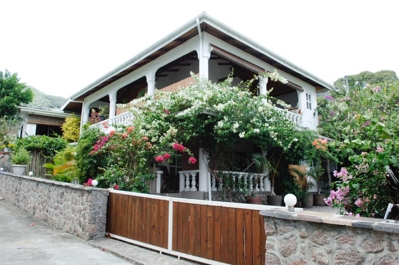 B&B Victoria - Beau Bamboo - Bed and Breakfast Victoria
