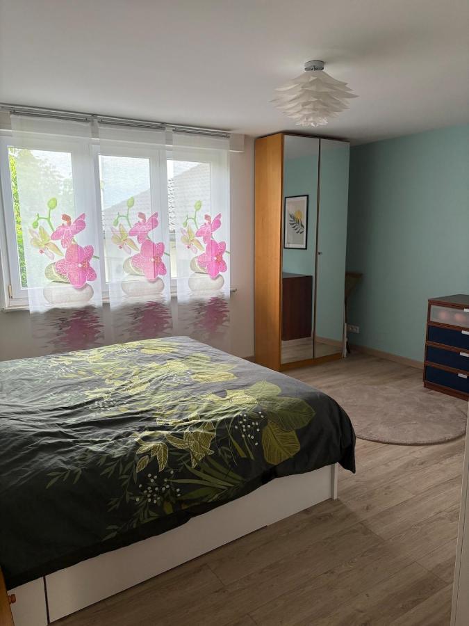 Maison spacieuse avec jardin - B&B Lauterbourg