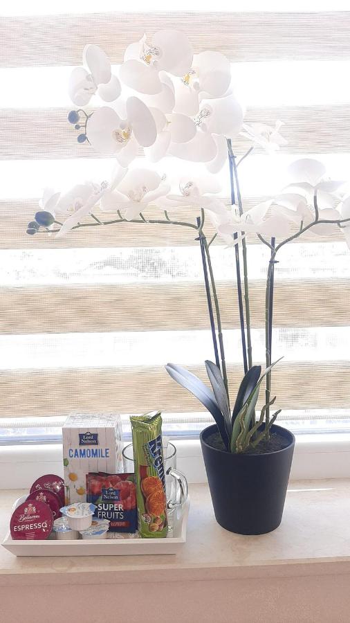 Апартамент за гости 2 Тракия Плаза - B&B Shumen