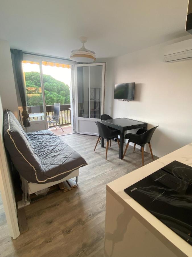 joli T2 150 mètres de la plage - B&B Argeles