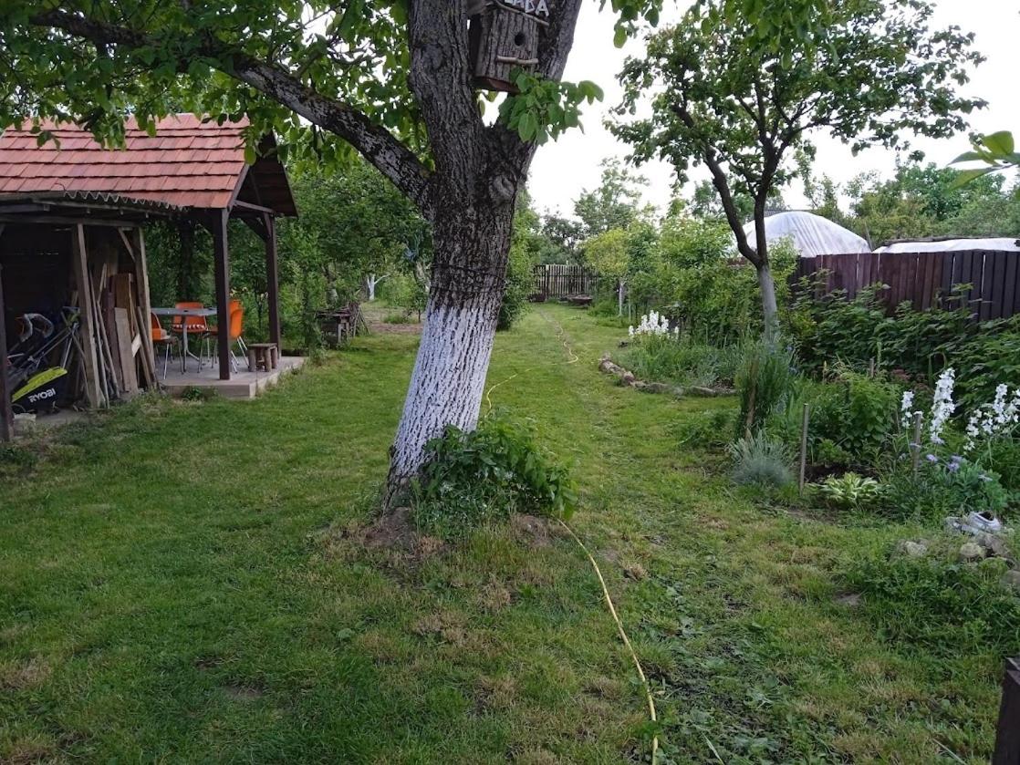 Садиба-студіо Під вишнею - Ferienwohnung Astei
