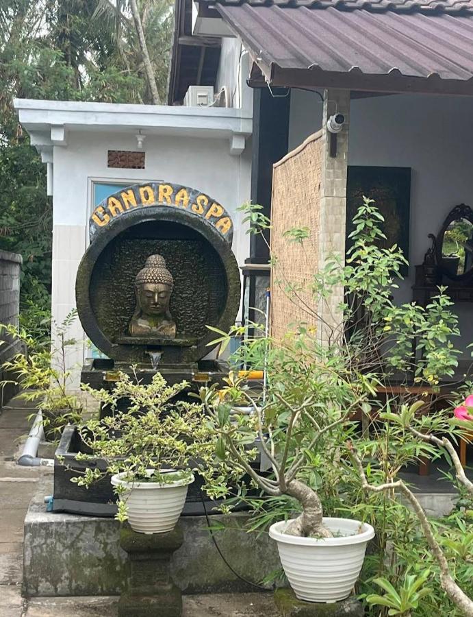 TebaFamily - B&B Bulu Baat