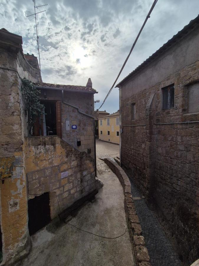 Sogno di Pinka - B&B Calcata