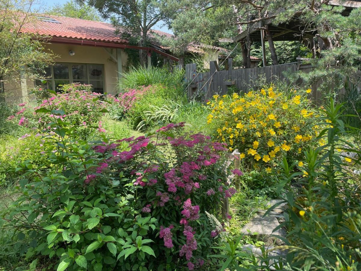 Gîte de l'atelier in Sorèze - Ferienwohnung Sorèze