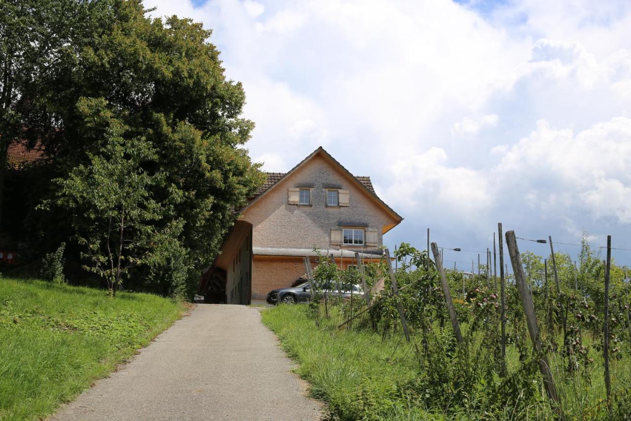 Gasthaus Haldenhof - B&B Märstetten-Dorf