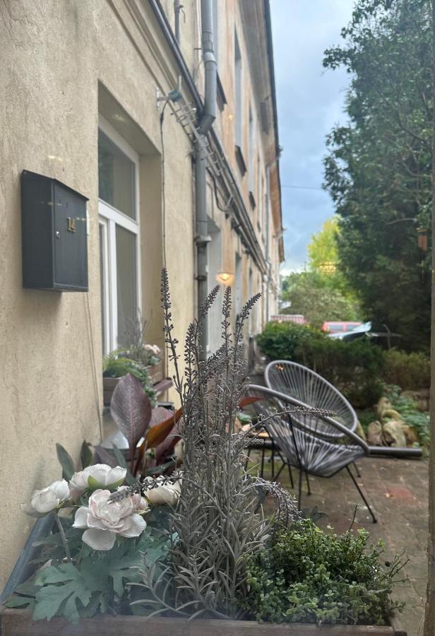 Appartement 1 Chambre