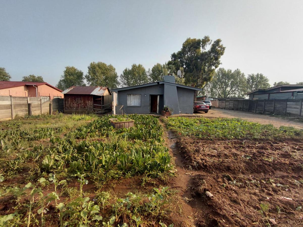 Mama R's Budget-friendly BACKROOM 2 - Bed and Breakfast Newcastle