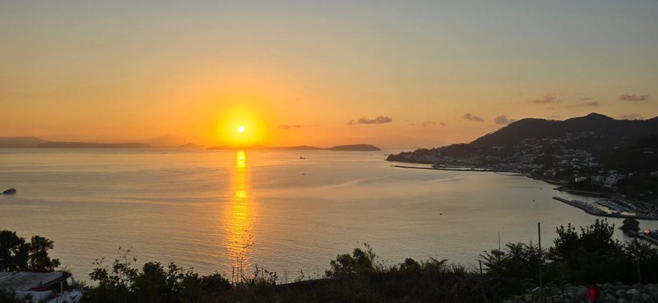 Appartamenti Miramare in Collina - B&B Ischia