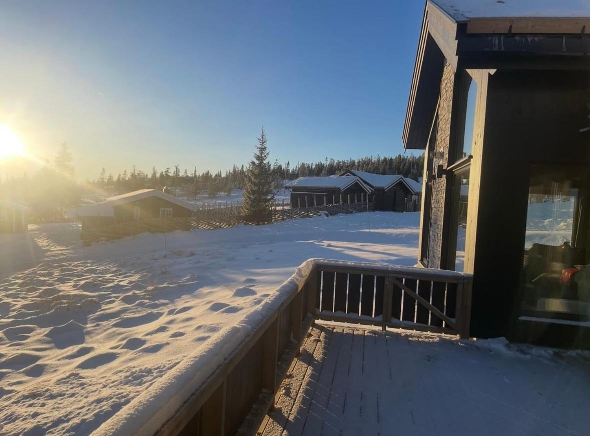 Fjellro Budor - ski in ski out - B&B Løten