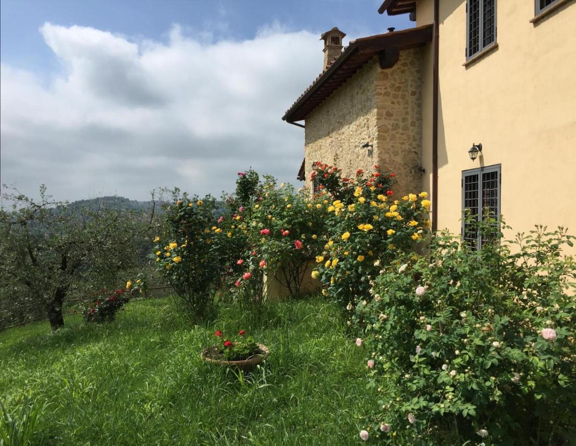 Sabina Essence Villa di charme - B&B Selci