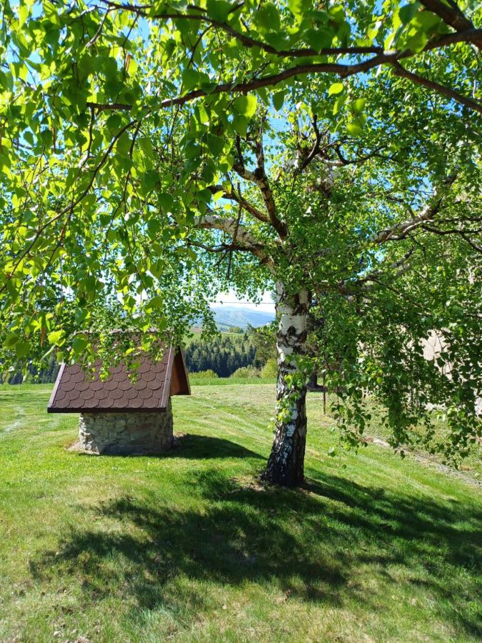 "RYVILLA" Dom na Wilkówce - B&B Gaboń
