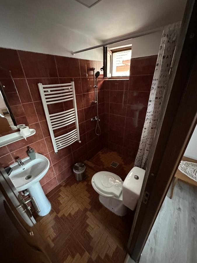 Casa Tradițională Cârtisoara - B&B Cârţişoara