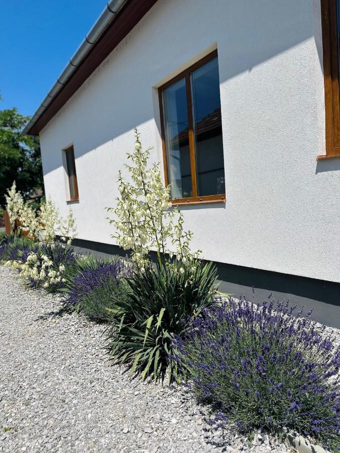 Berkenye Vendégház Tisza-tó - B&B Abádszalók