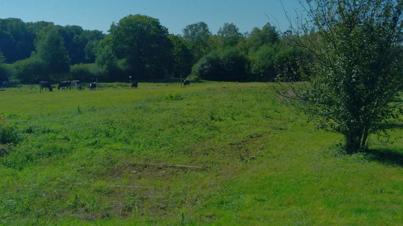 Au Coeur des Champs - Ferienwohnung Regniowez