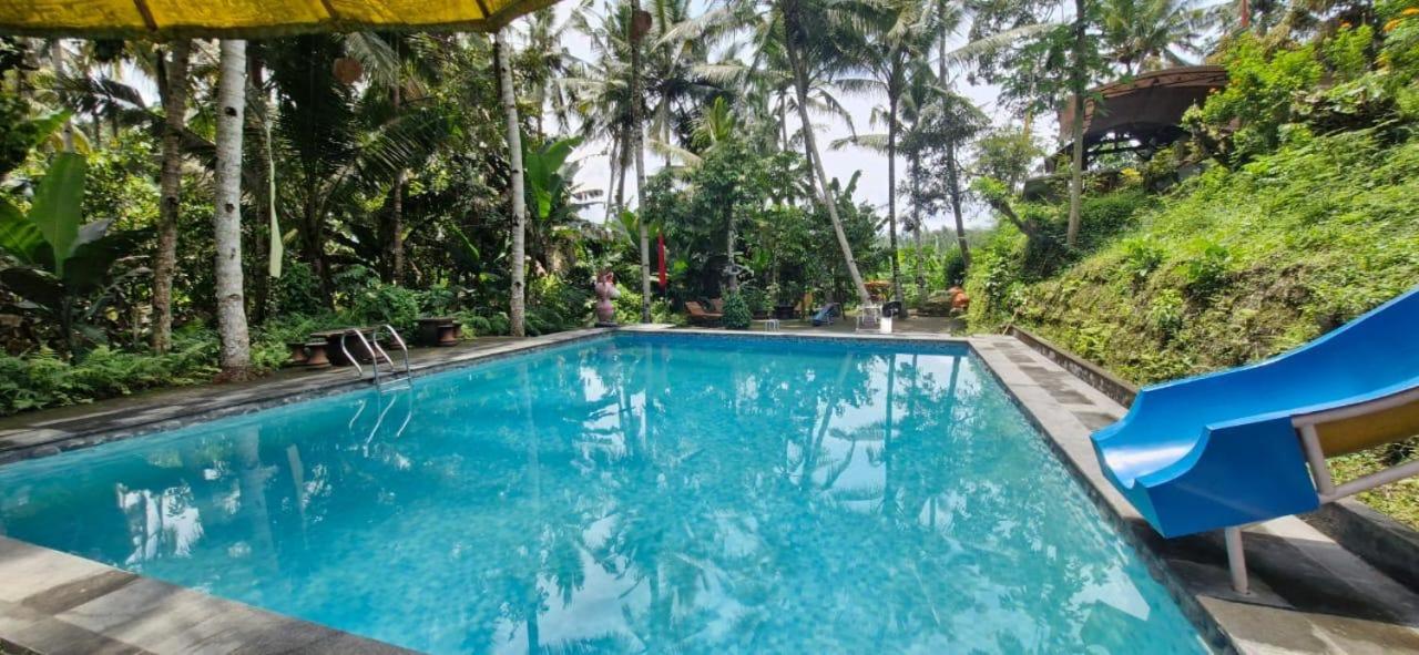 The Hidden Gem of Jembrana Bali - Bed and Breakfast Mendoyo