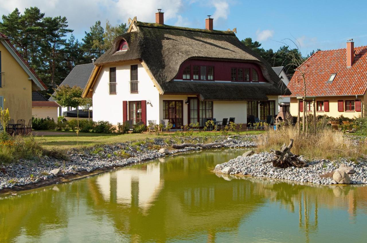 Dünenresidenz Glowe - Haus Luisa - Ferienwohnung