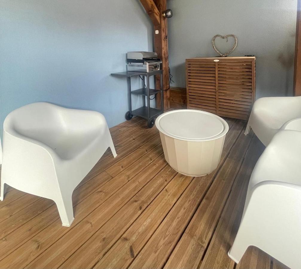 Maison Bleue, Appartements Thann centre, proche vignoble, terrasse avec vue - B&B Thann