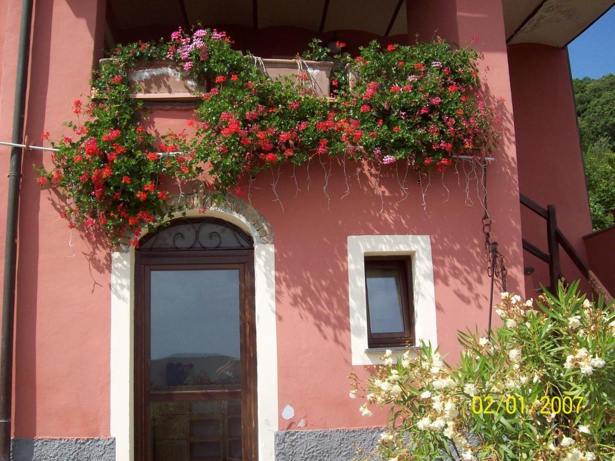 Apartment with Garden View