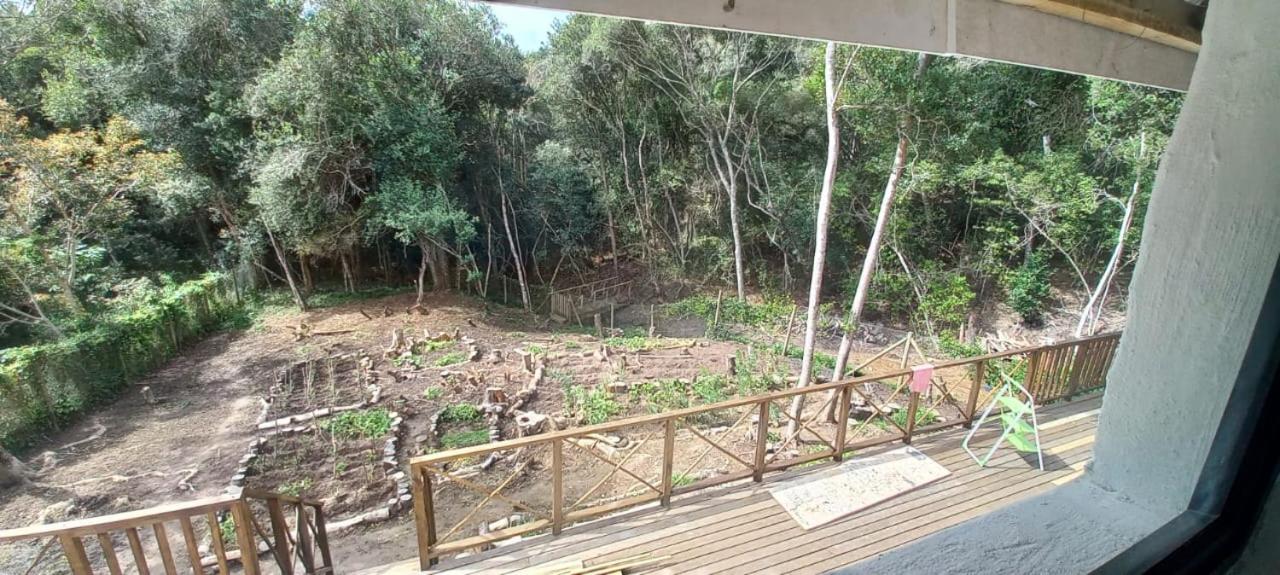 Forest Hideaway - B&B Knysna