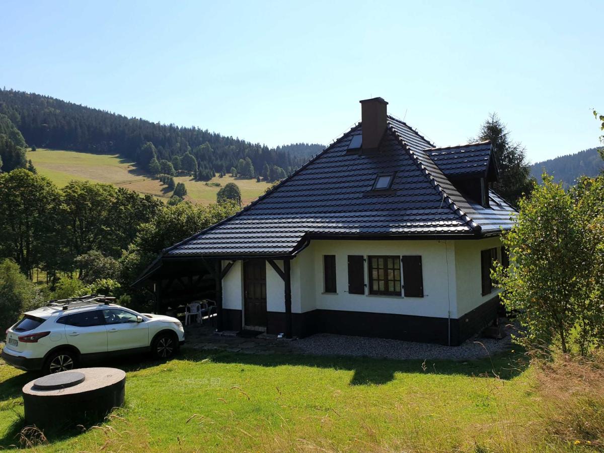 Chata pod Śnieżnikiem - B&B Nowa Morawa