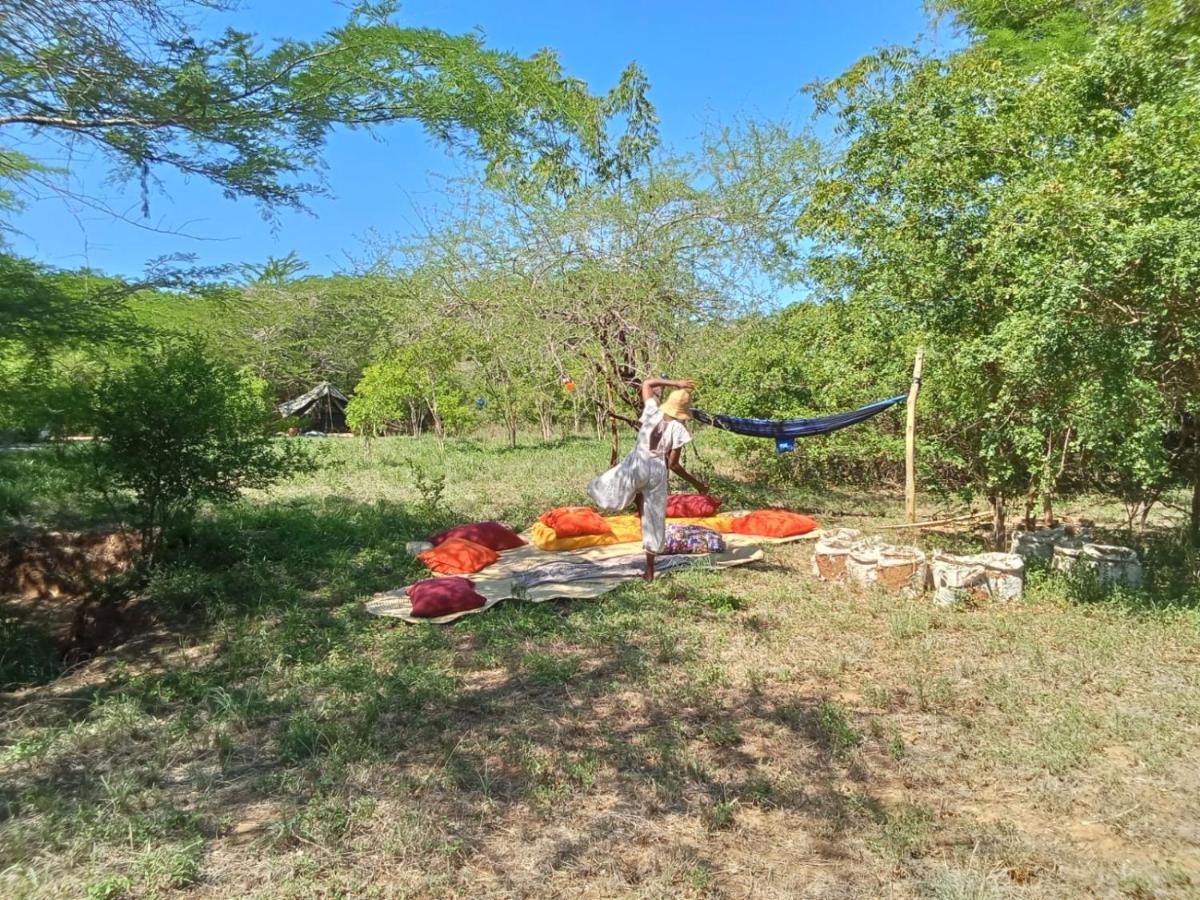 The Shamba - B&B Kilifi