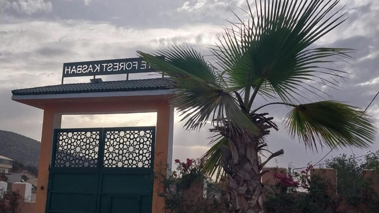 Gîte Forest Kasbah - B&B Timsal