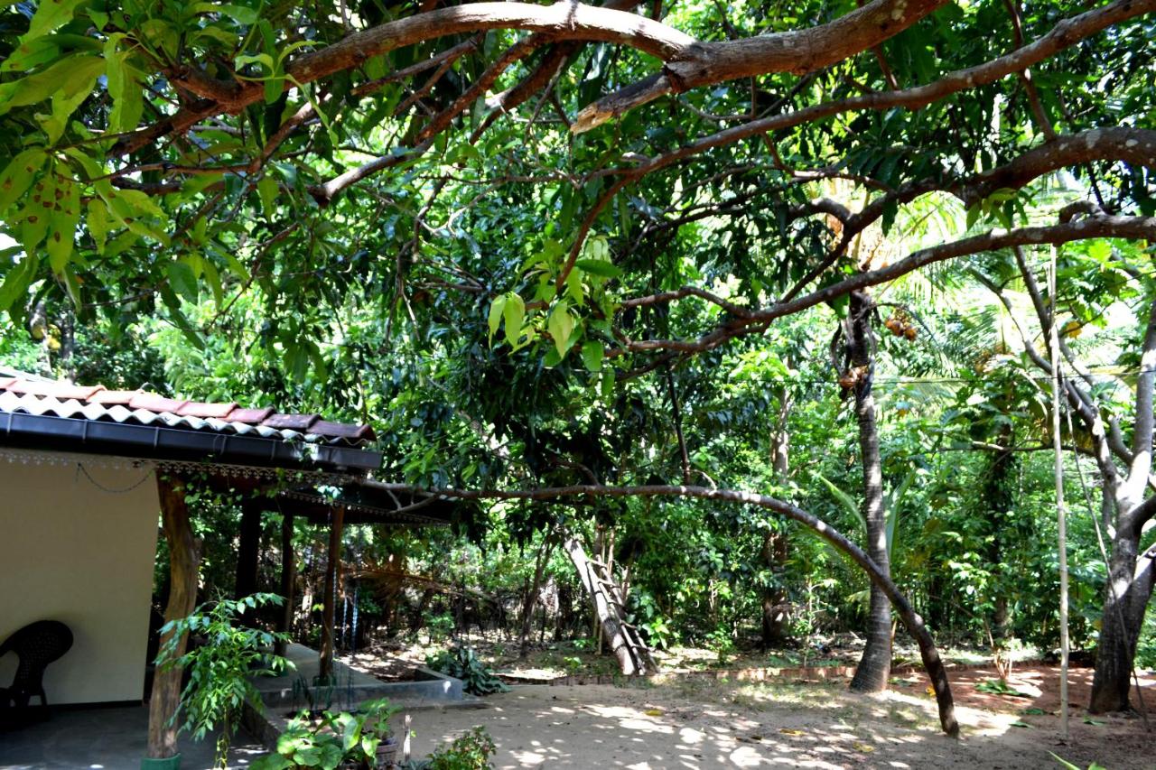 Sigiriya Freedom Lodge - Ferienwohnung Dambulla