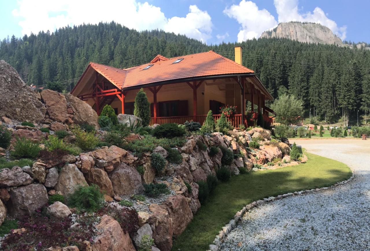 Lacu Roșu Mountain Lodge - B&B Lacu Roșu