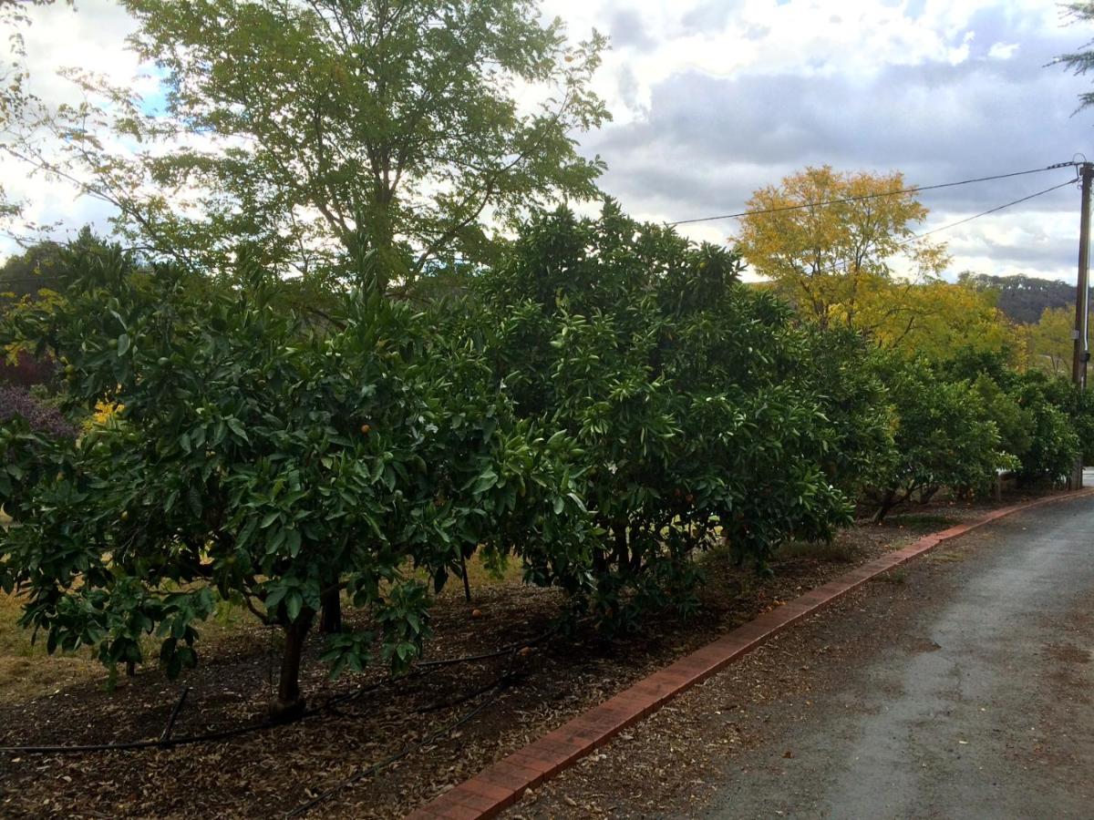 Vineyard Cottage BnB - B&B