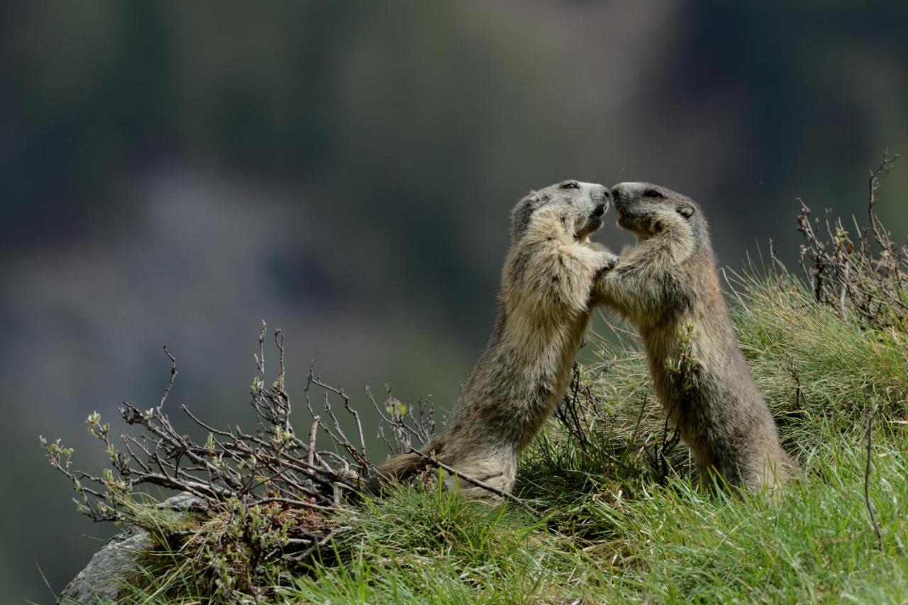 Apartamento con balcón