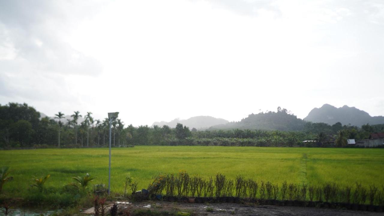 Rice Field Bungalows - B&B Ban Pak Nam