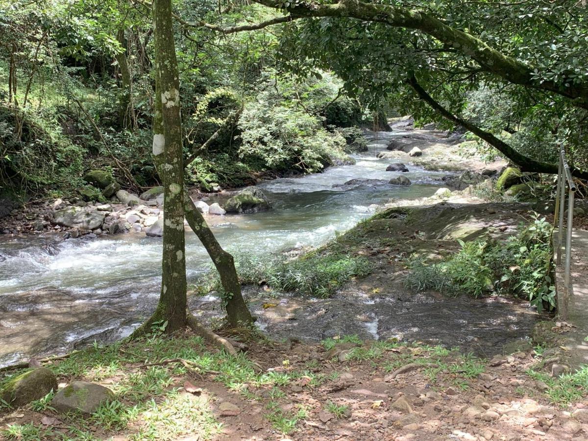 Los Laureles El Valle de Anton - B&B El Valle