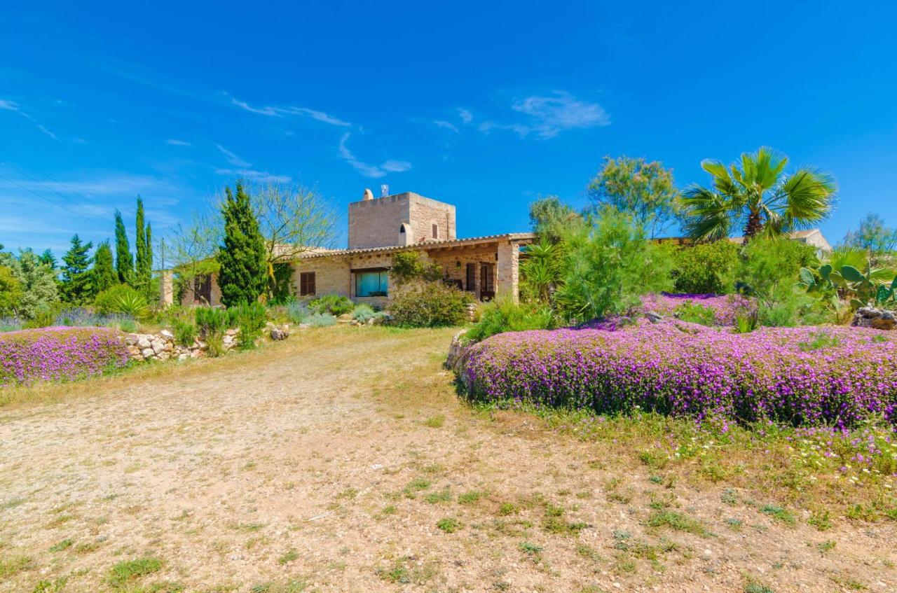 Villa Es Molí des Trenc - B&B Ses Salines