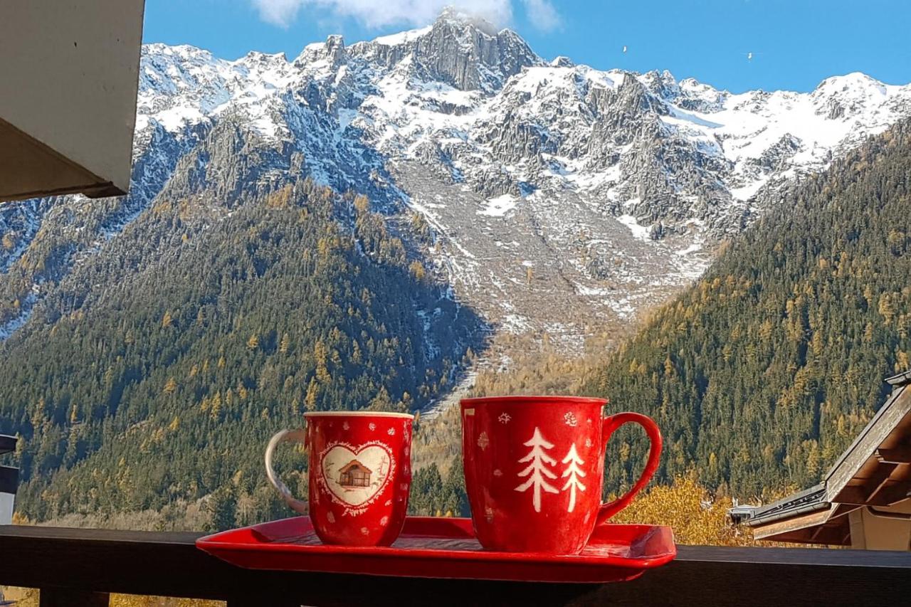 Le Sapi 1E Balcon panoramique Aiguilles Rouges avec parking gratuit - B&B Chamonix