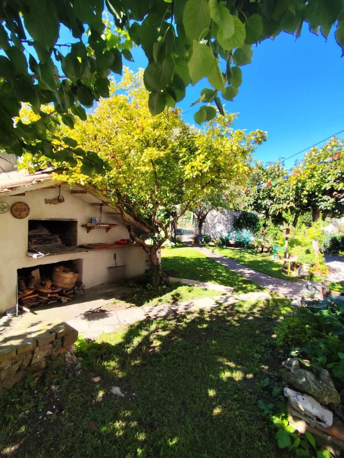 La Cinciallegra - Locazione Turistica - Bed and Breakfast Marmore