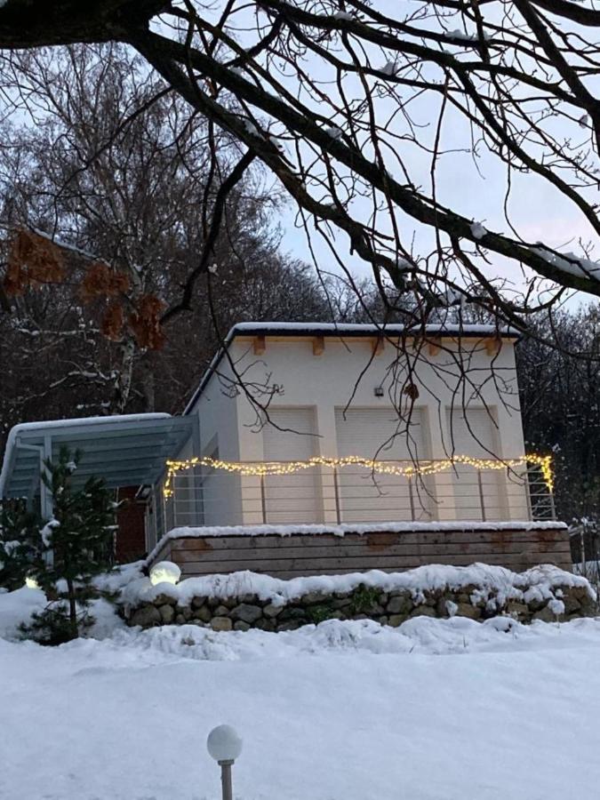 Chalet Auenblick - B&B Hainburg an der Donau