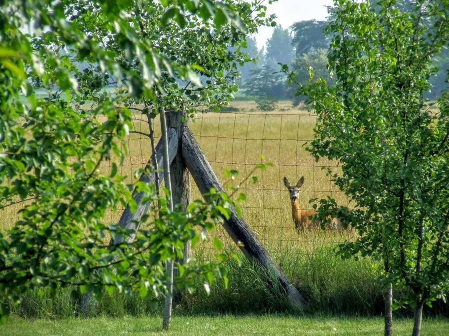 Balogh-Szatmári Kúria - B&B Hajdúszoboszló