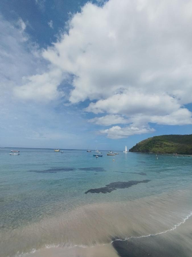 Villa Heliconia à 10 min des plages et des tortues - B&B Les Anses-d'Arlet