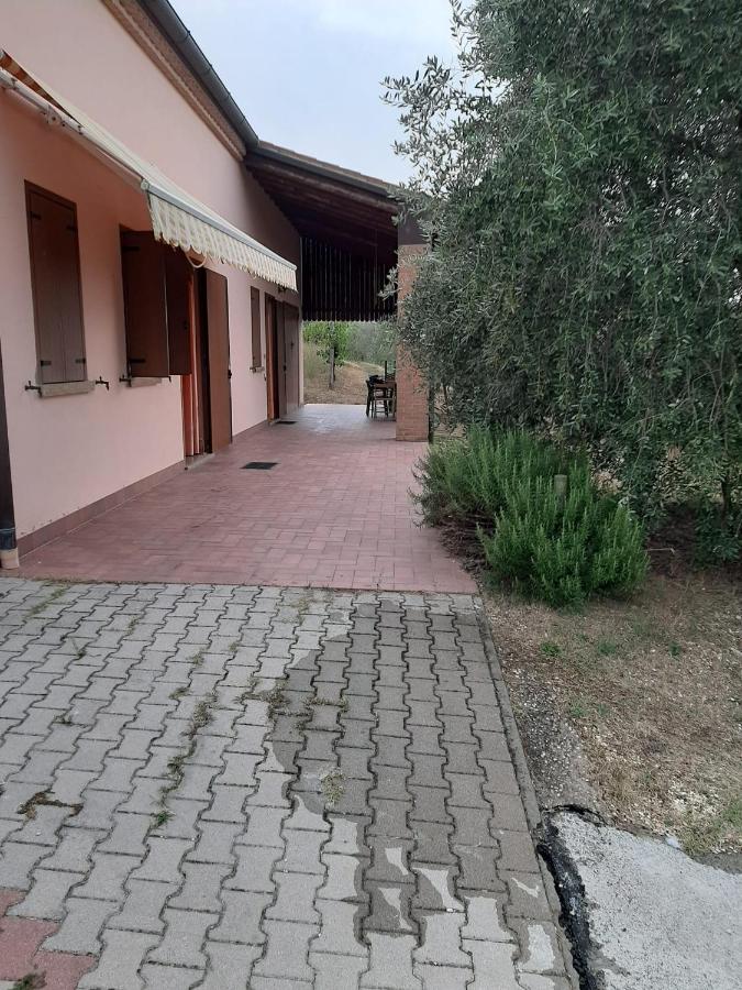 Agriturismo Giulio Fufo - B&B Arquà Petrarca