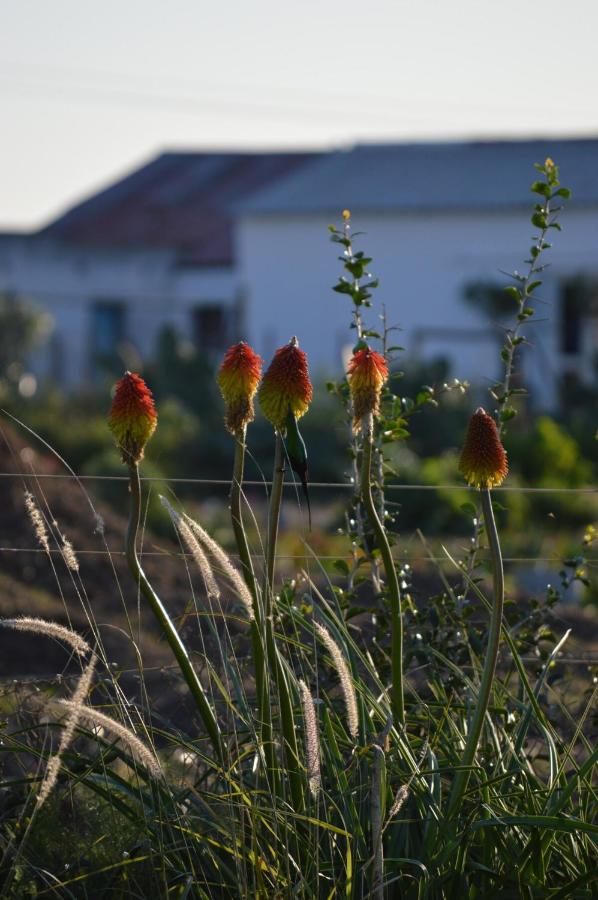 The Old Dairy at Allemanskloof - B&B Paarl