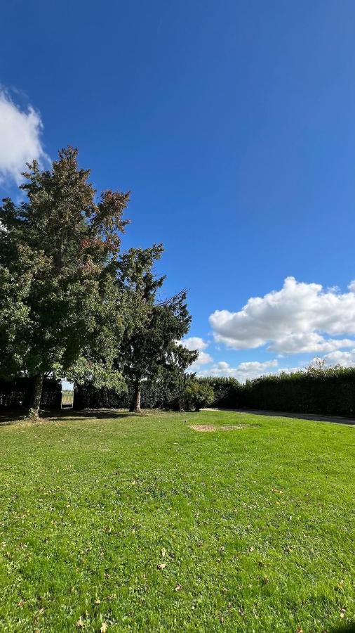 Grande maison avec piscine 13 couchages proche Paris - B&B Rebais