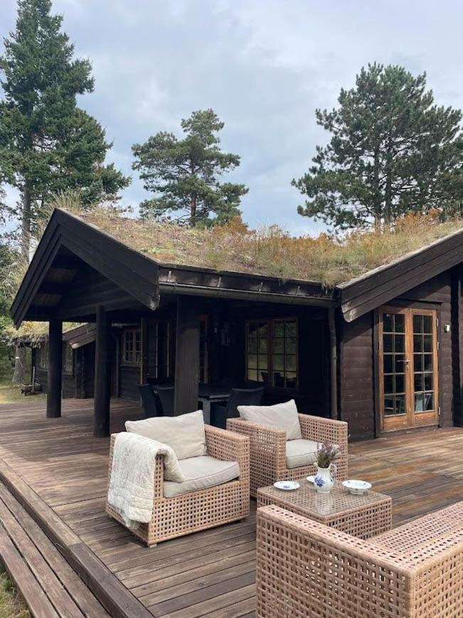 Norwegian Log Cabin Among Heather And Pine Trees - B&B Rørvig