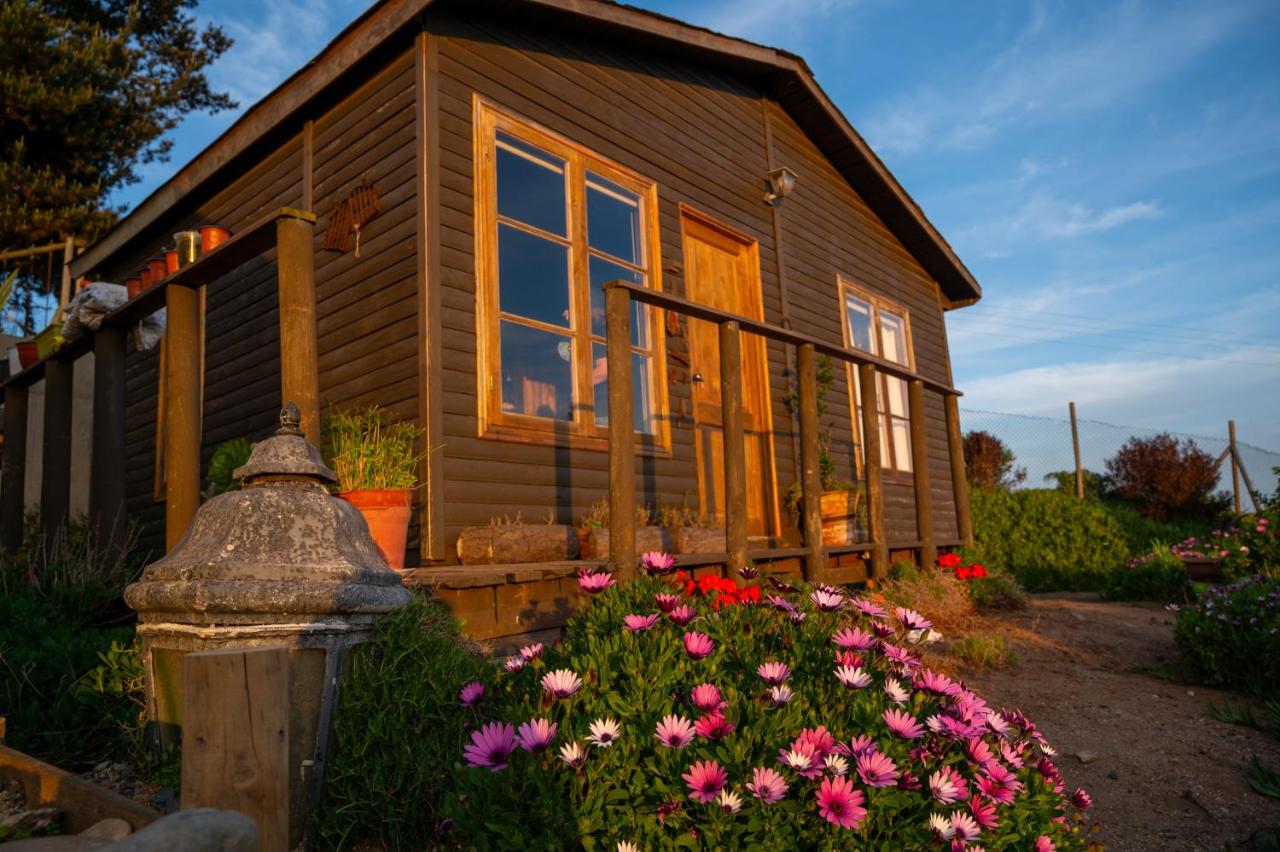 El Jardín de Zara - Bed and Breakfast Quintero