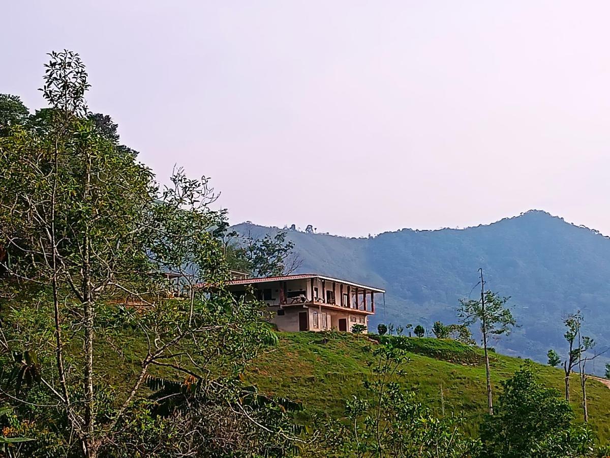 Bosque Místico - Chambres d’hôtes San Carlos