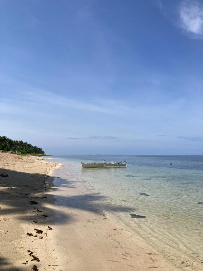 Magic Seaweed House Forever Offline - Bed and Breakfast Alegria